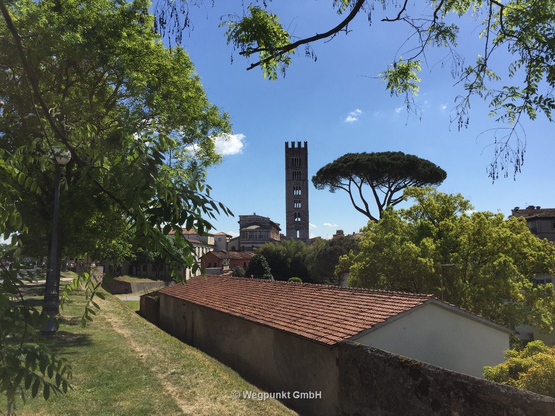 Die Sicht von der Mauer ins Städtchen Lucca